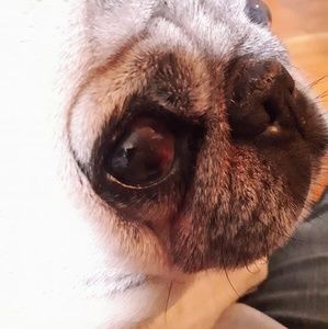 Meet your Posher, Debi